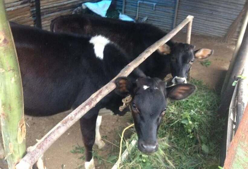 אתר נופש Vridhavan Mist City