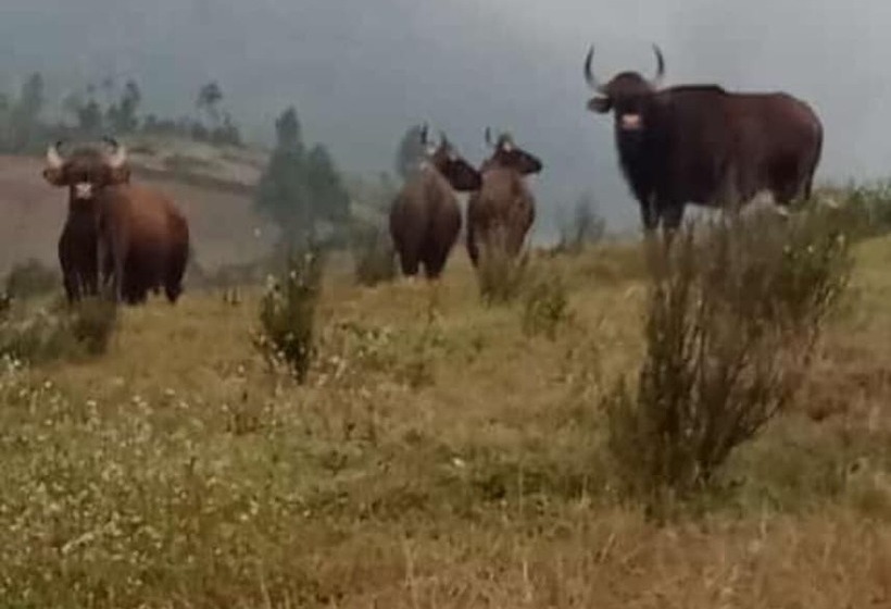 אתר נופש Vridhavan Mist City