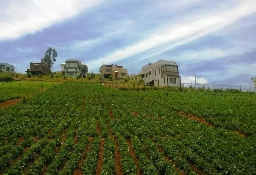 Resort Vridhavan Mist City