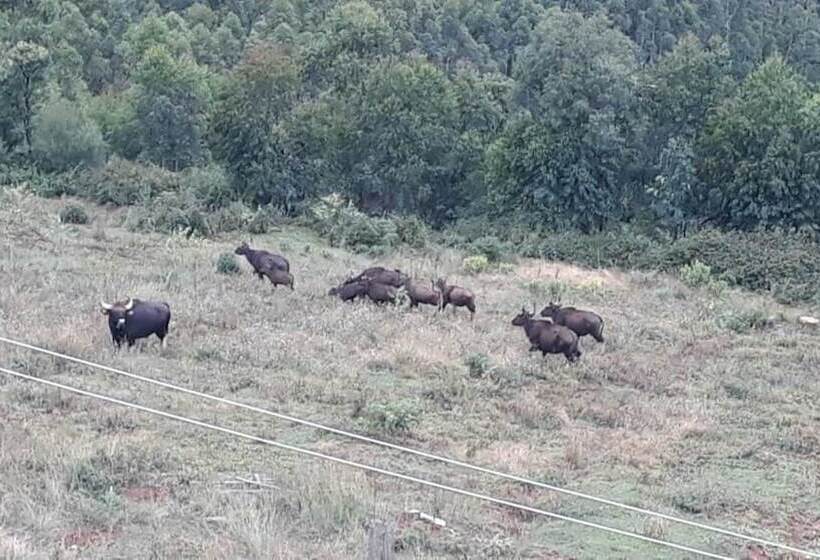 אתר נופש Vridhavan Mist City