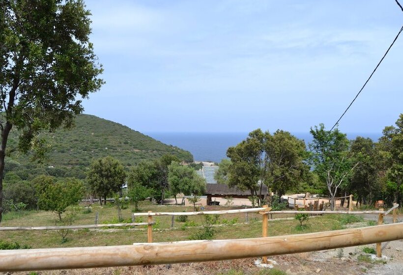 مبيت وإفطار A Casa Di Babbo