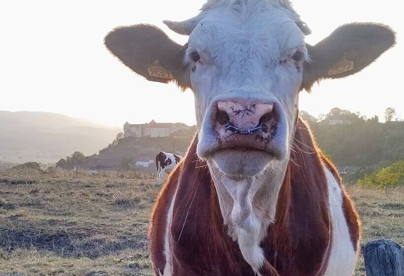 ベッドアンドブレックファースト Chambres D Hotes Souffle Nature