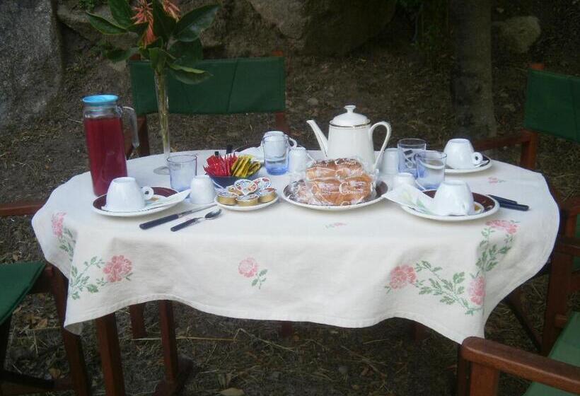 민박 La Collina Dei Ciliegi