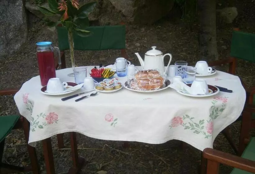 ベッドアンドブレックファースト La Collina Dei Ciliegi