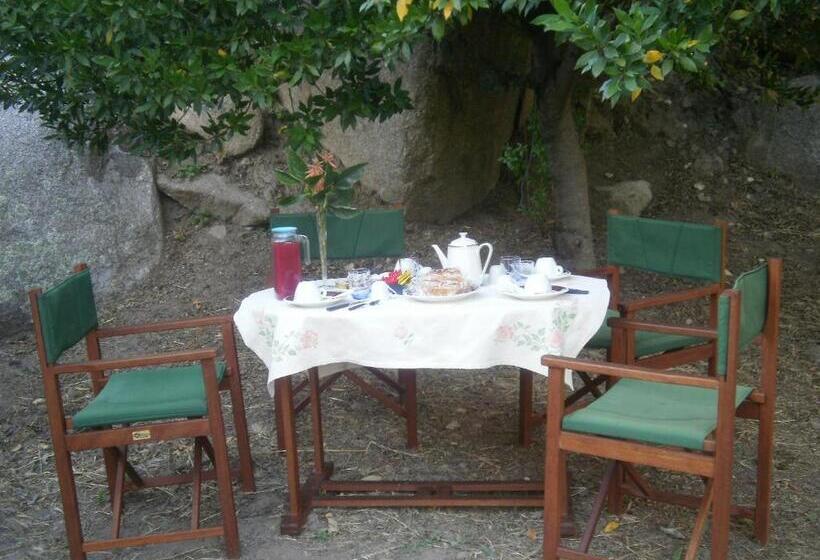 민박 La Collina Dei Ciliegi