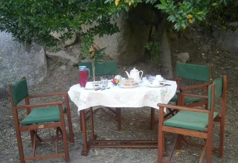 ベッドアンドブレックファースト La Collina Dei Ciliegi