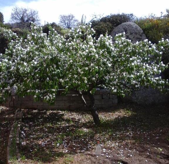 민박 La Collina Dei Ciliegi