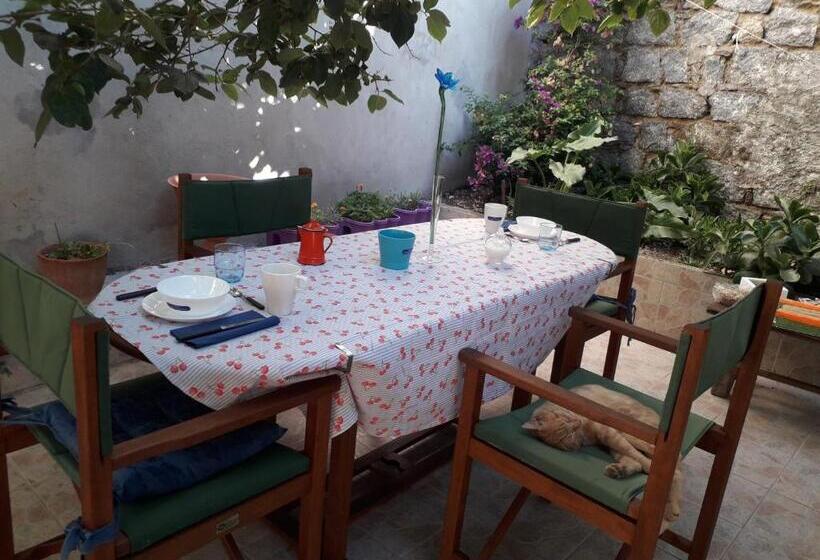 민박 La Collina Dei Ciliegi