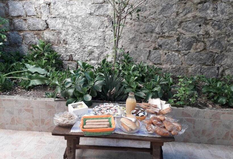 민박 La Collina Dei Ciliegi