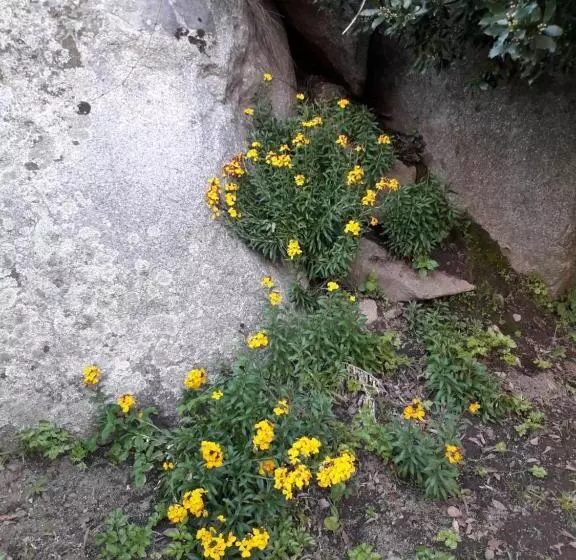 ベッドアンドブレックファースト La Collina Dei Ciliegi