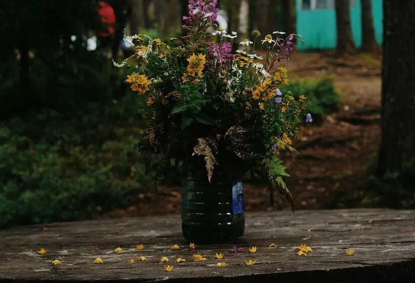 ホテル Baza Otdikha Zhuravushka