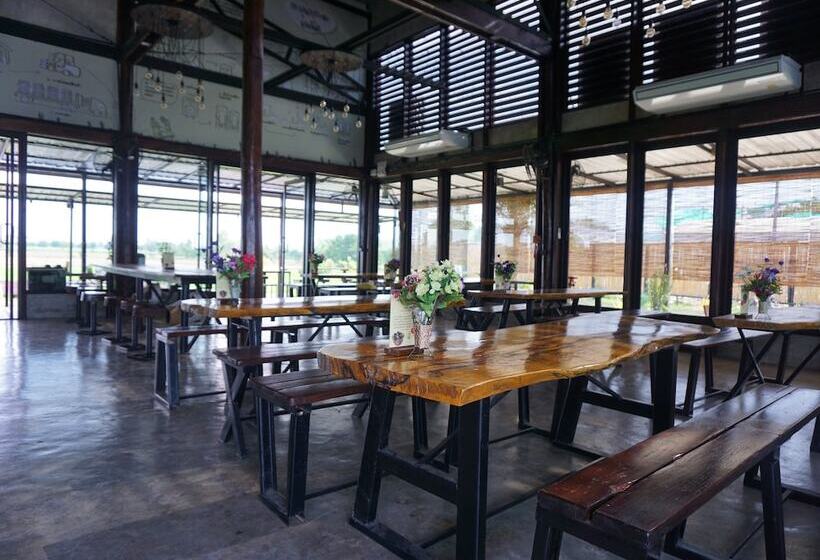 Отель Rice Country Village