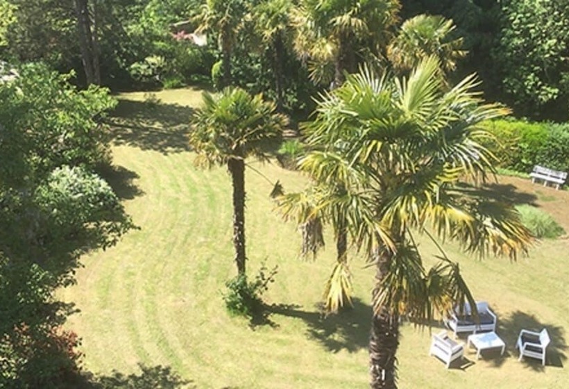 بنسيون La Maison Chicorée