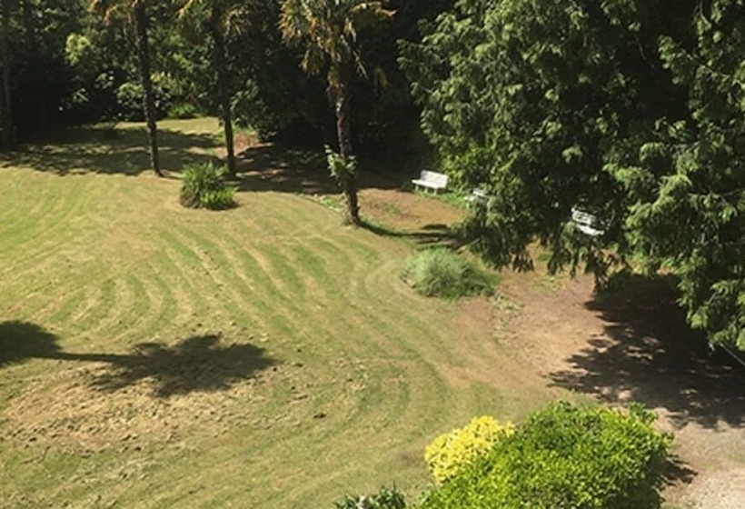 بنسيون La Maison Chicorée