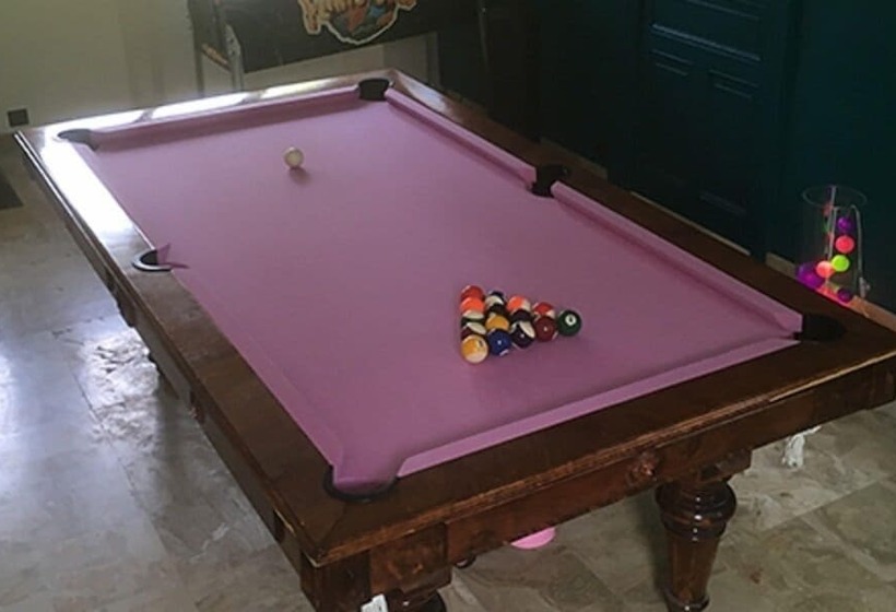 بنسيون La Maison Chicorée