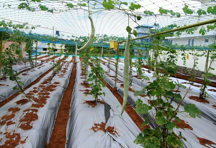 リゾートホテル Ayur Bethaniya Ayurveda Hospital