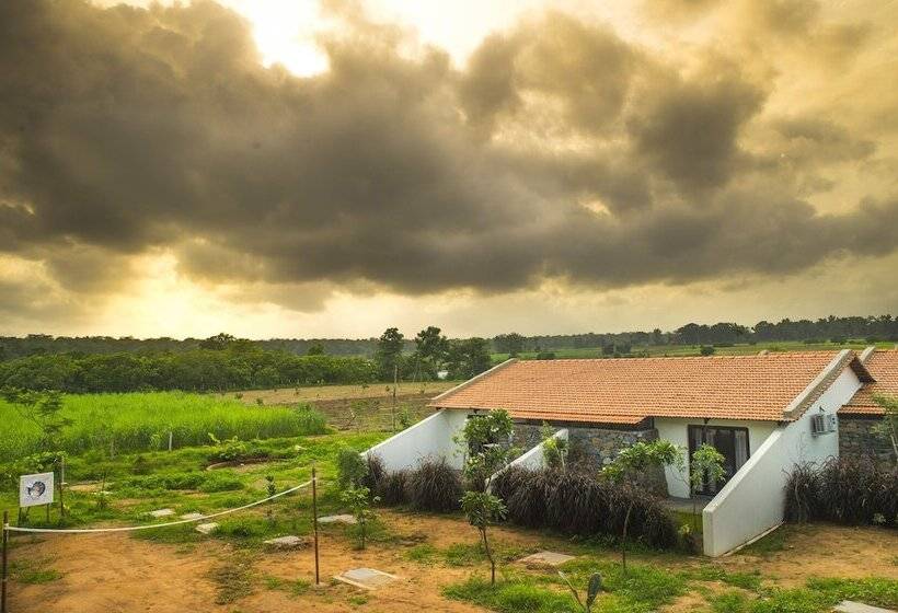 Starling River Resort