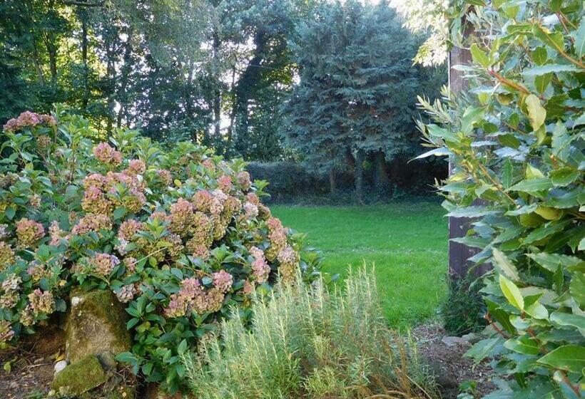 B&b ~ Repos Sous Les Arbres