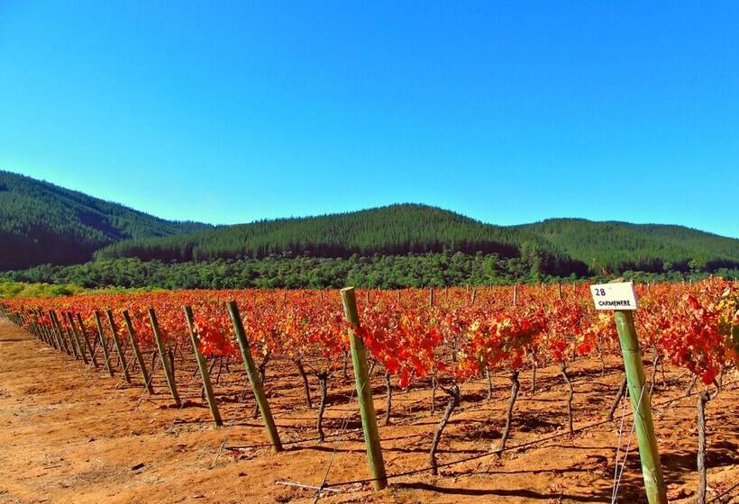 Casa Bouchon Hotel Boutique