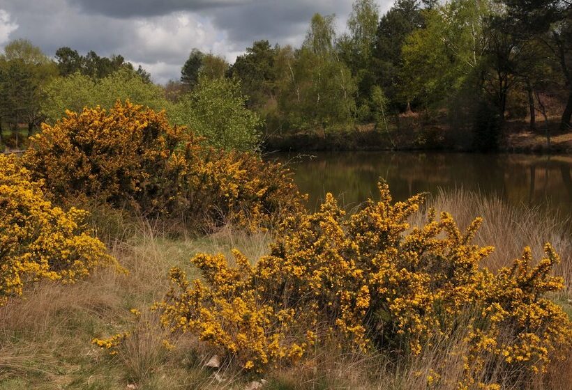 בית מלון כפרי Auberge Des Voyajoueurs