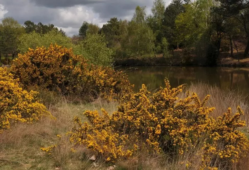 Hotelli Auberge Des Voyajoueurs