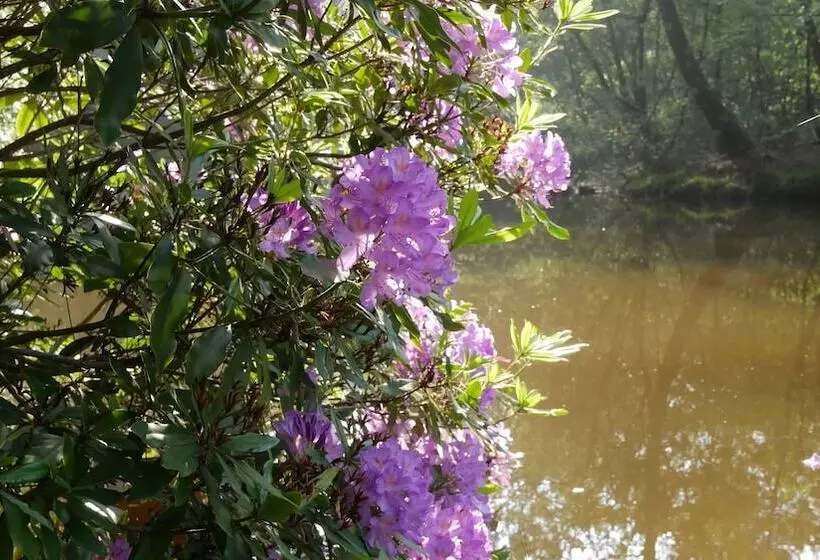 Hotelli Auberge Des Voyajoueurs