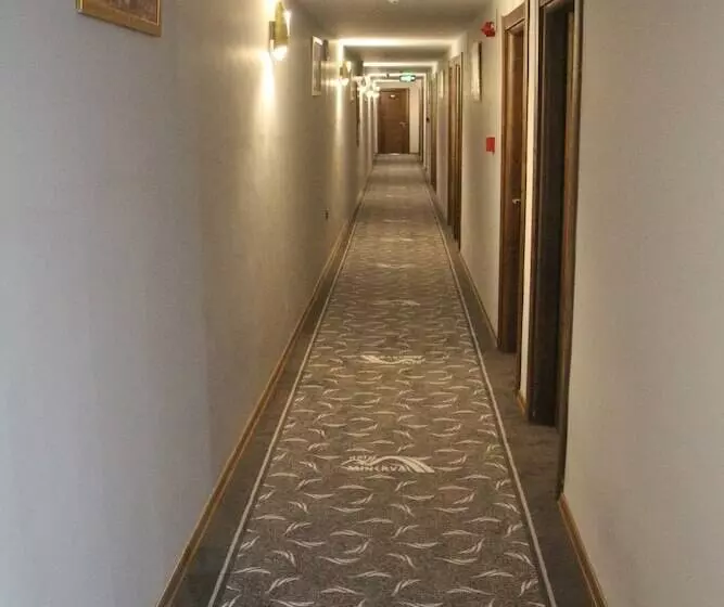 Hotelli Minerva Pazar