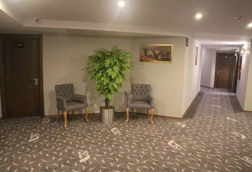 Hotelli Minerva Pazar