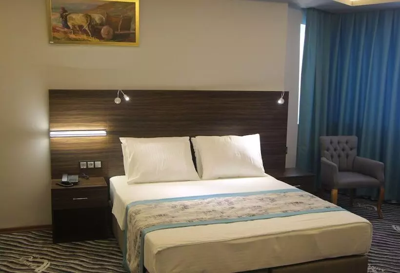 Hotelli Minerva Pazar