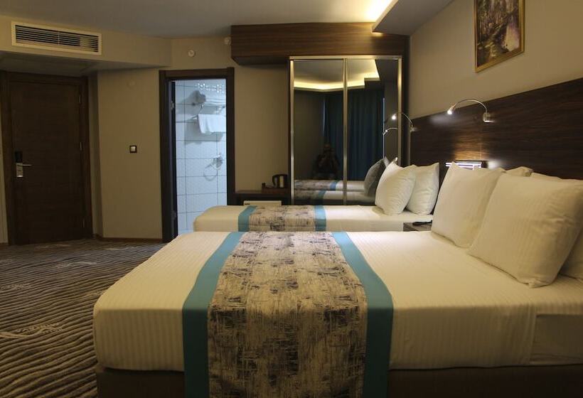 ホテル Minerva Pazar