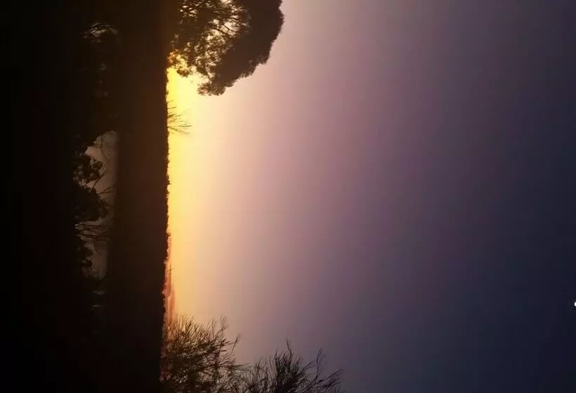 Hotelli Reflections   Lake Cooby