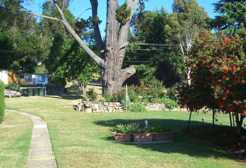 Курорт Rainbow Pines Tourist Caravan Park