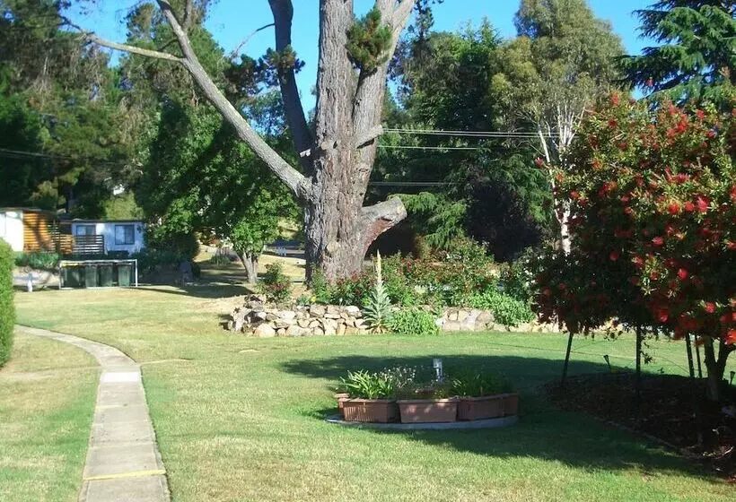 リゾートホテル Rainbow Pines Tourist Caravan Park