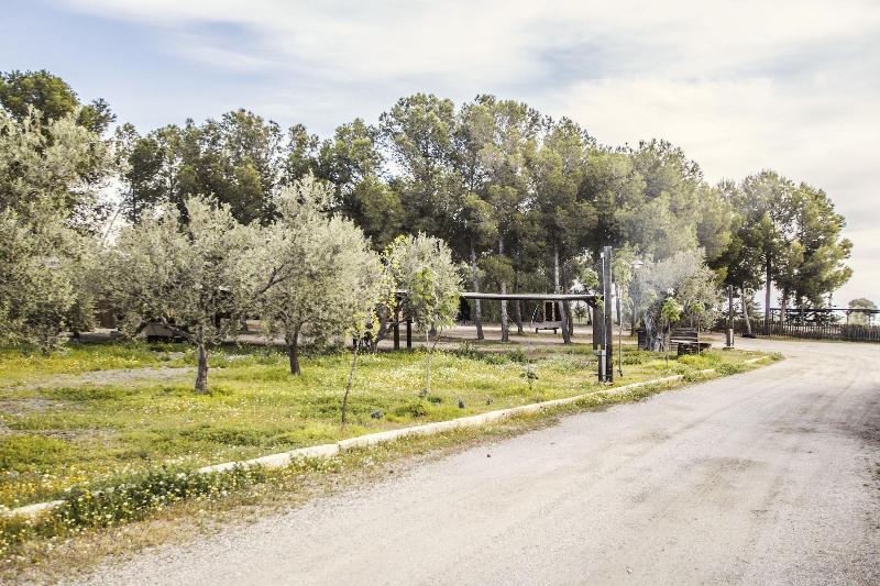 Alojamientos Rurales Los Albardinales