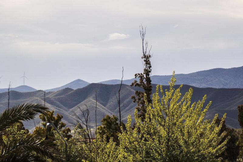 Alojamientos Rurales Los Albardinales