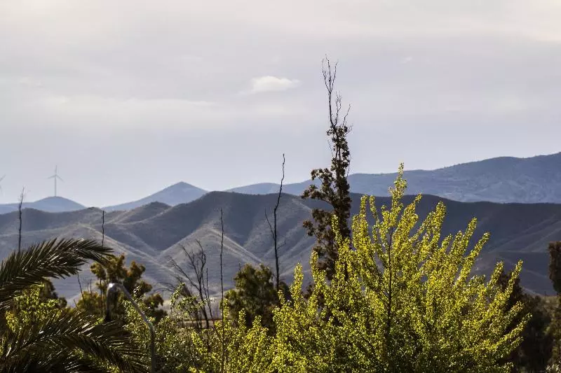 Alojamientos Rurales Los Albardinales