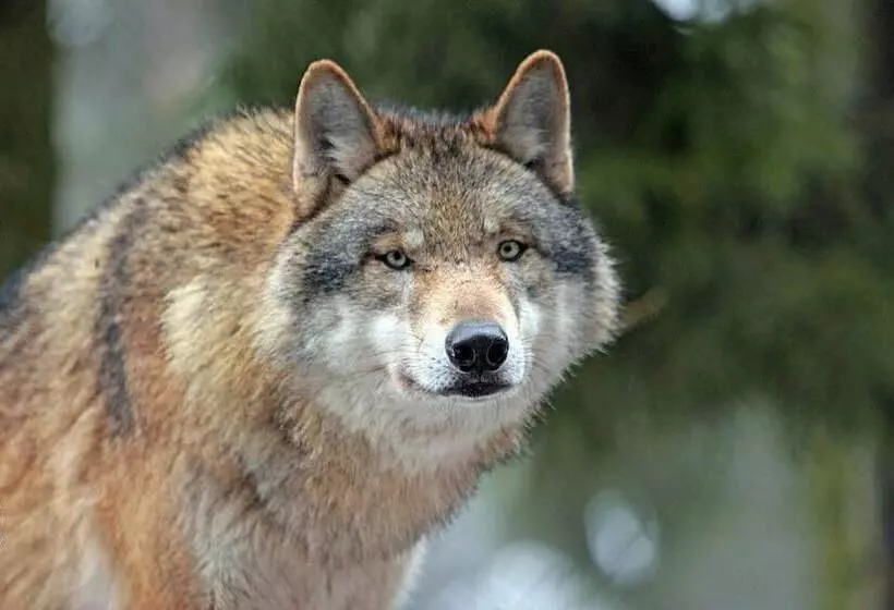 ホテル Schloss Stülpe