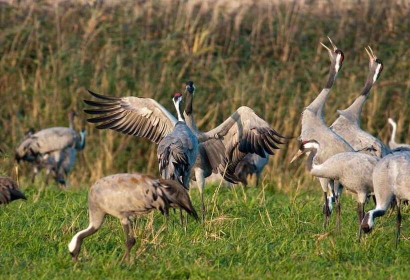 Hotel Schloss Stülpe