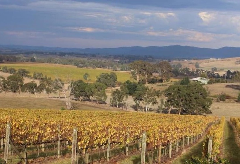 Outlook Hill Vineyard Cottages