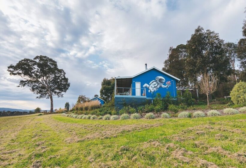 Outlook Hill Vineyard Cottages