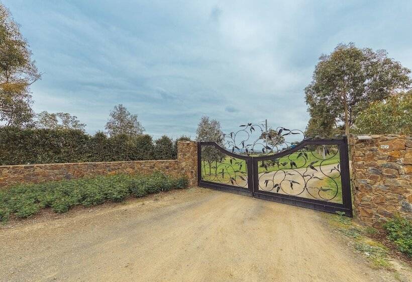 Outlook Hill Vineyard Cottages