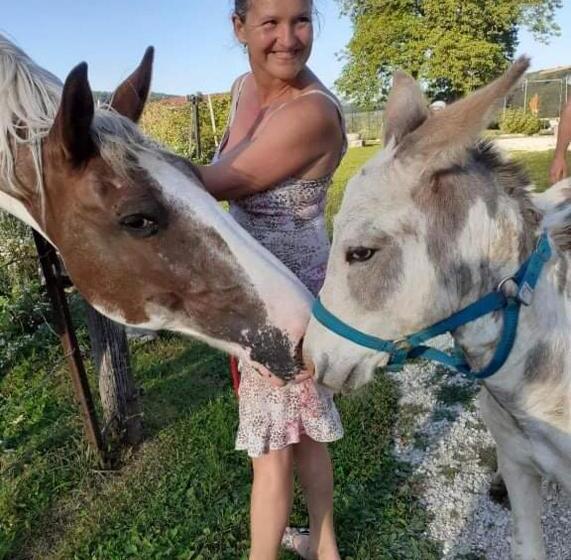 ペンション Domaine De Fontenelay