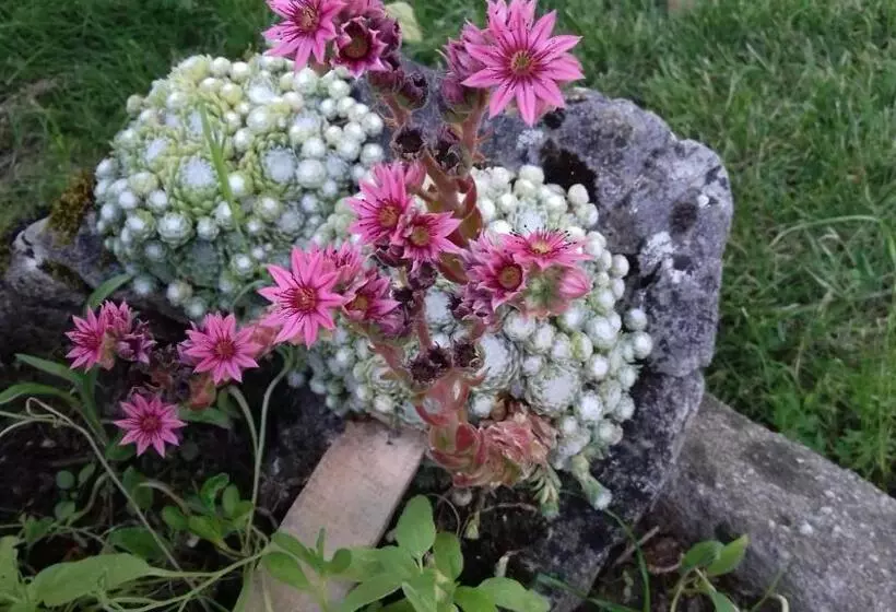 Majatalo Domaine De Fontenelay