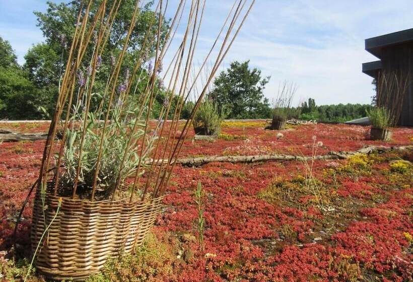 ペンション La Maison D Hôtes D Une Autre Nature