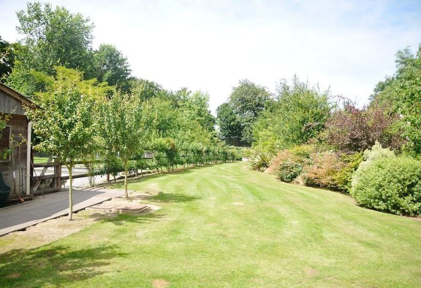 بنسيون Le Domaine Des Platanes