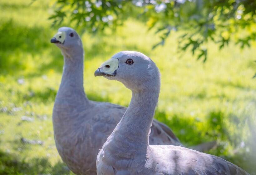 بنسيون Le Domaine Des Platanes