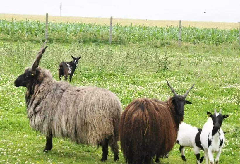 Majatalo Le Domaine Des Platanes