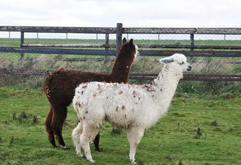 Majatalo Le Domaine Des Platanes