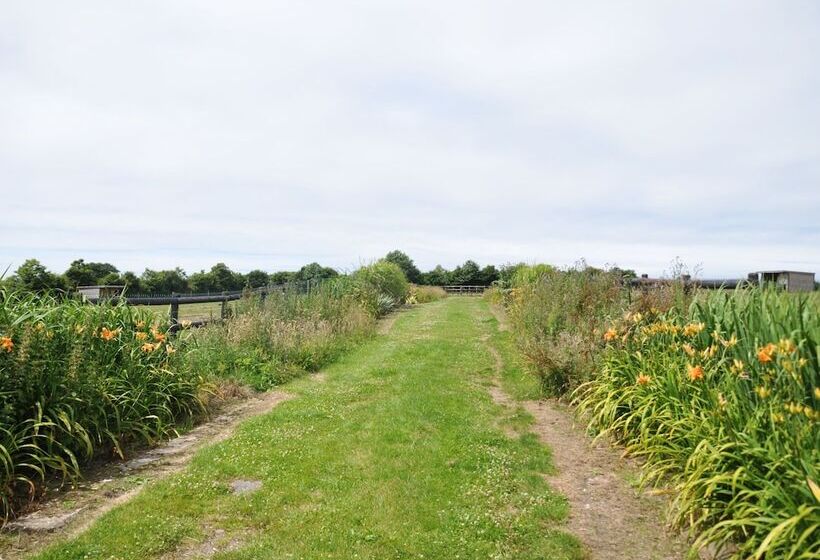 بنسيون Le Domaine Des Platanes