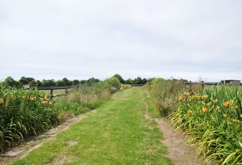 Majatalo Le Domaine Des Platanes